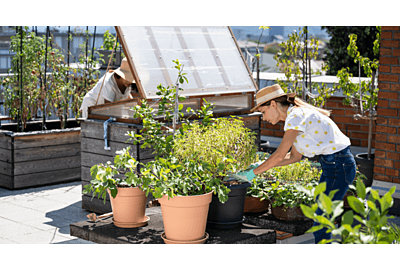 dwie kobiety uprawiające rośliny na dachu domu