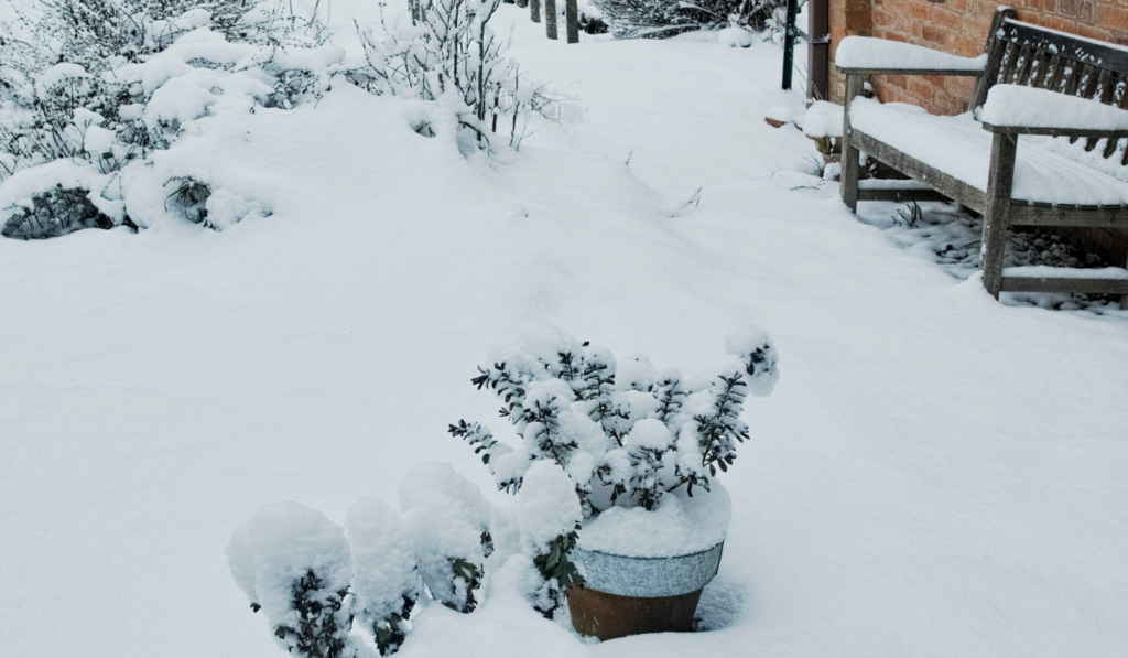 ogród przed domek z ławką i roślinami w doniczkach przykryty dużą warstwą śniegu 