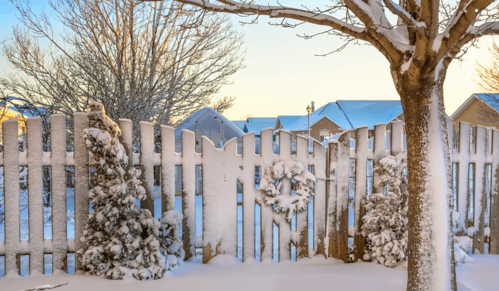 ogród w domu jednorodzinnym przykryty warstwą śniegu 