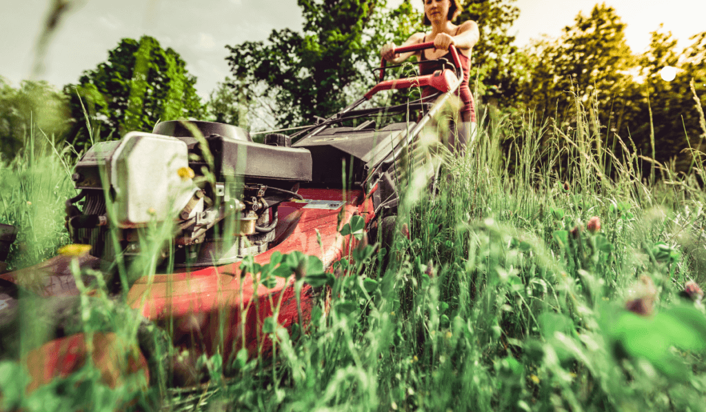 kobieta w letnim stroju kosi czerwoną kosiarką trawę 