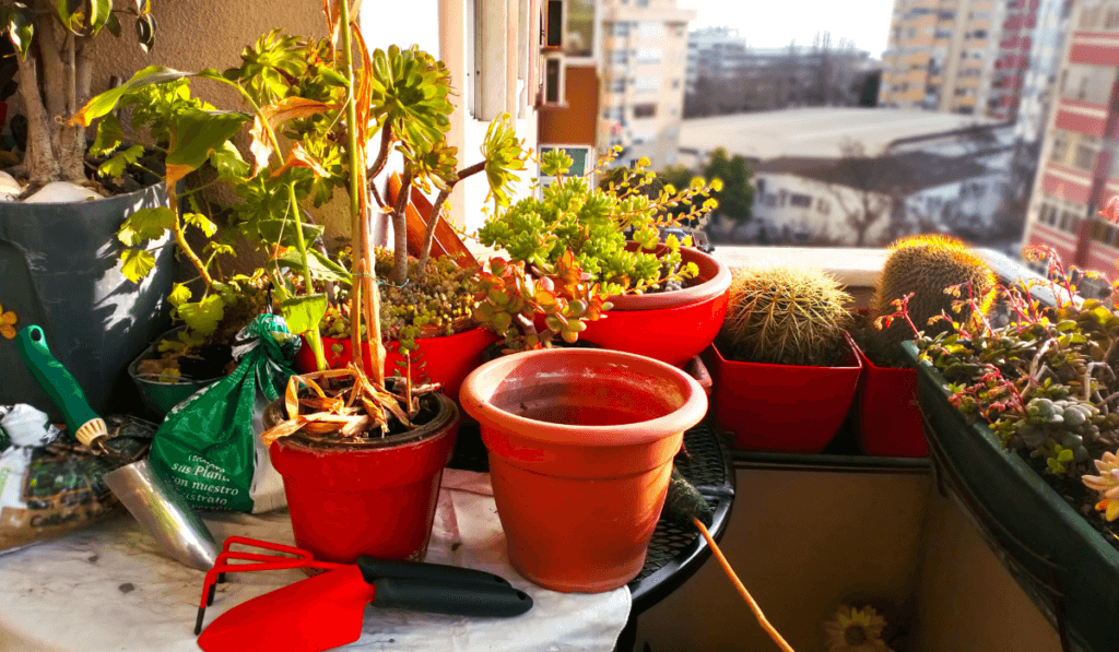 uprawa roślin na balkonie, doniczki i narzędzia ogrodnicze przygotowane do użycia na balkonie 