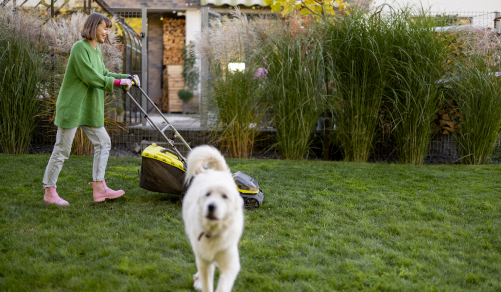 koszenie trawy jesienią przed domem, kobieta z kosiarką i psem w ogrodzie 