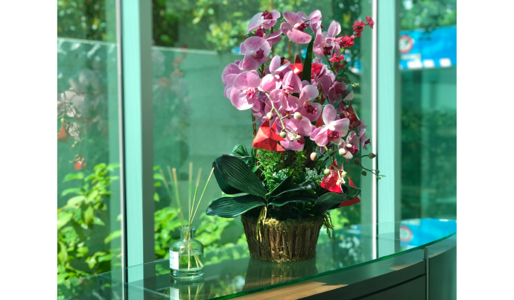 piękny fioletowy storczyk w efektownej brązowej doniczce ustawiony na dobrze nasłonecznionym szklany, blacie stolika blisko okna