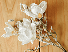 Gałązka magnolii śnieżnych GLORIA, 46cm