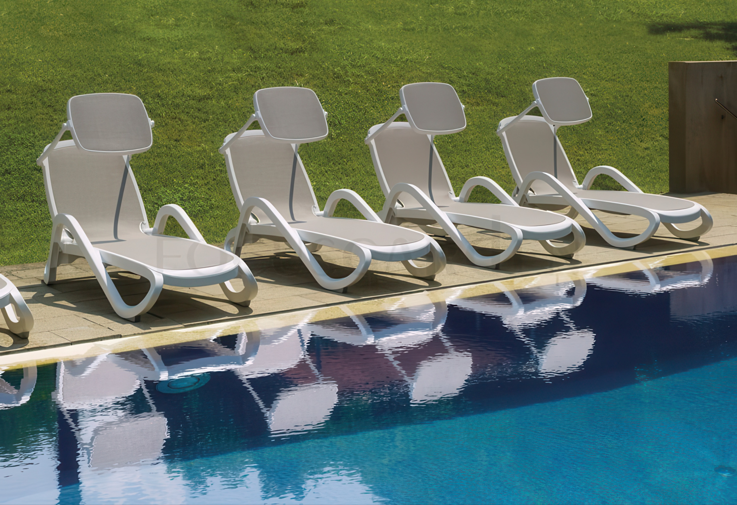 Дашок Nardi Trama Cafe