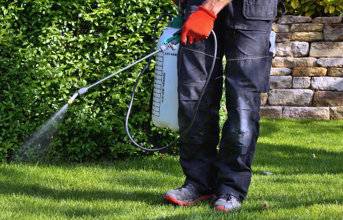 opryskiwanie pestycydów z przenośnym opryskiwaczem w celu wyeliminowania chwastów ogrodowych w trawniku