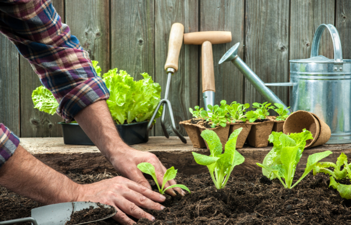 ogrodnik siejący warzywa w ogrodzie z leżącymi obok narzędziami ogrodowymi 