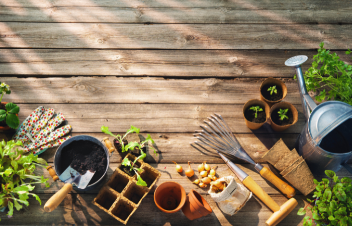 Narzędzia ogrodnicze i sadzonki na drewnianym stole w szklarni. Wiosna w ogrodzie
